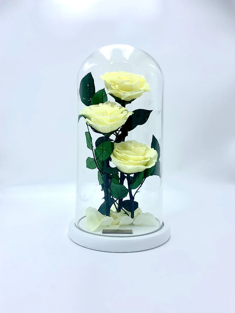 Eternity 3-in-1 Heart Rose Enchanted Glass Dome