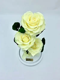Eternity 3-in-1 Heart Rose Enchanted Glass Dome