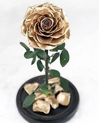 Eternity Rose Enchanted Glass Dome