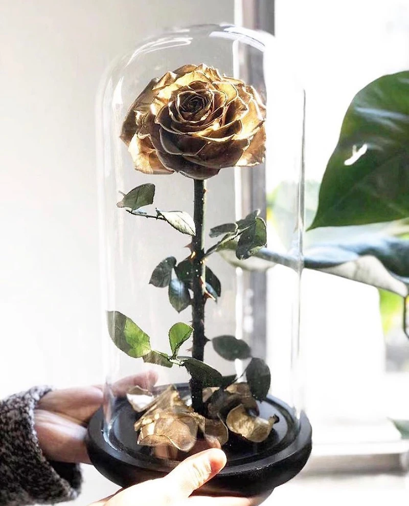 Eternity Rose Enchanted Glass Dome