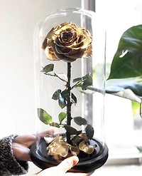 Eternity Rose Enchanted Glass Dome