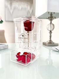 Purest Crystal Vanity Box