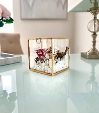 Fairytale Terrarium Box
