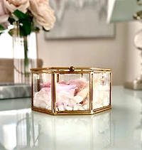 Fairytale Oval Hexagon Terrarium