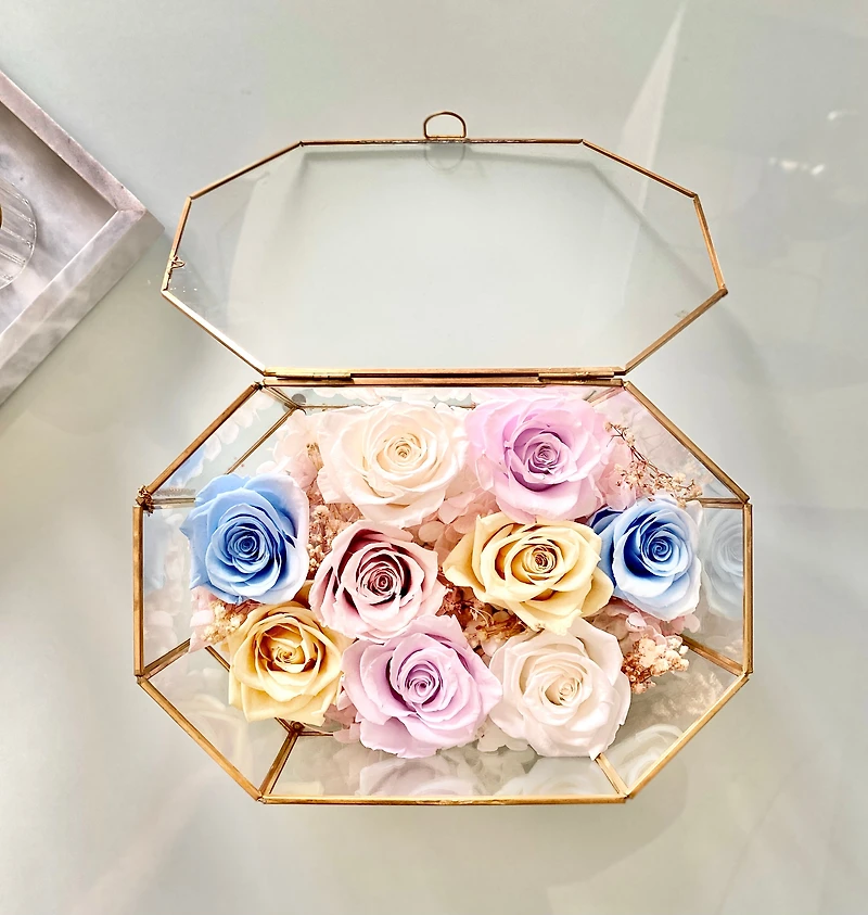 Fairytale Oval Hexagon Terrarium