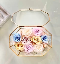 Fairytale Oval Hexagon Terrarium