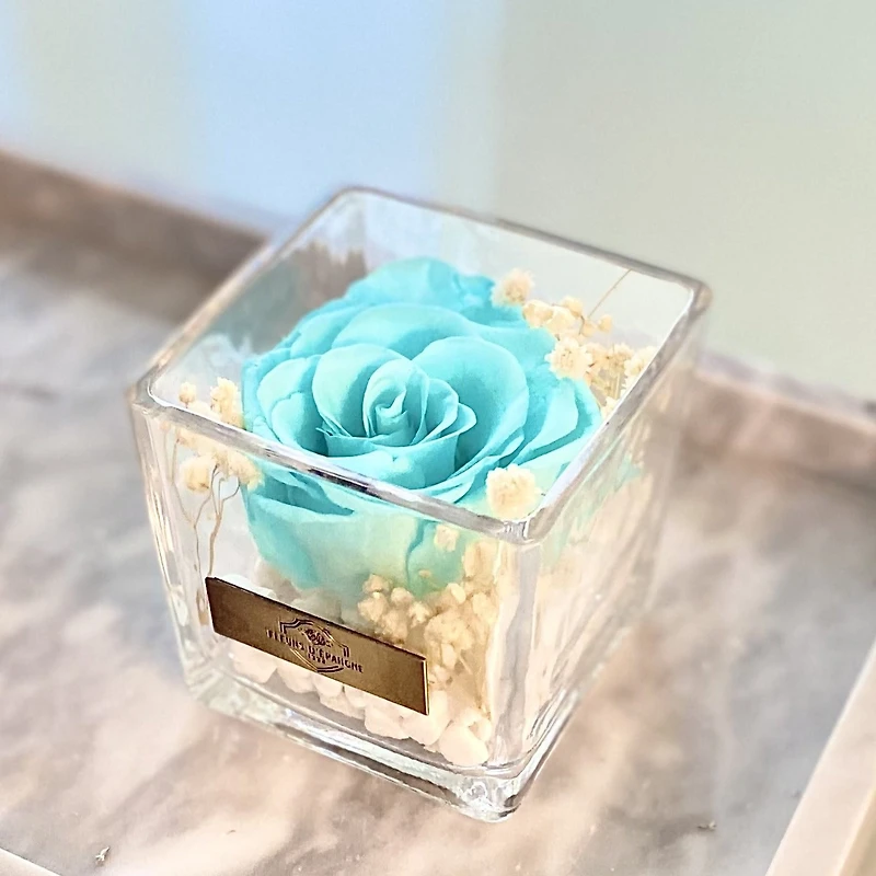 One Love in Square Glass Vase