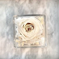 One Love in Square Glass Vase