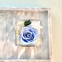 One Love in Square Glass Vase