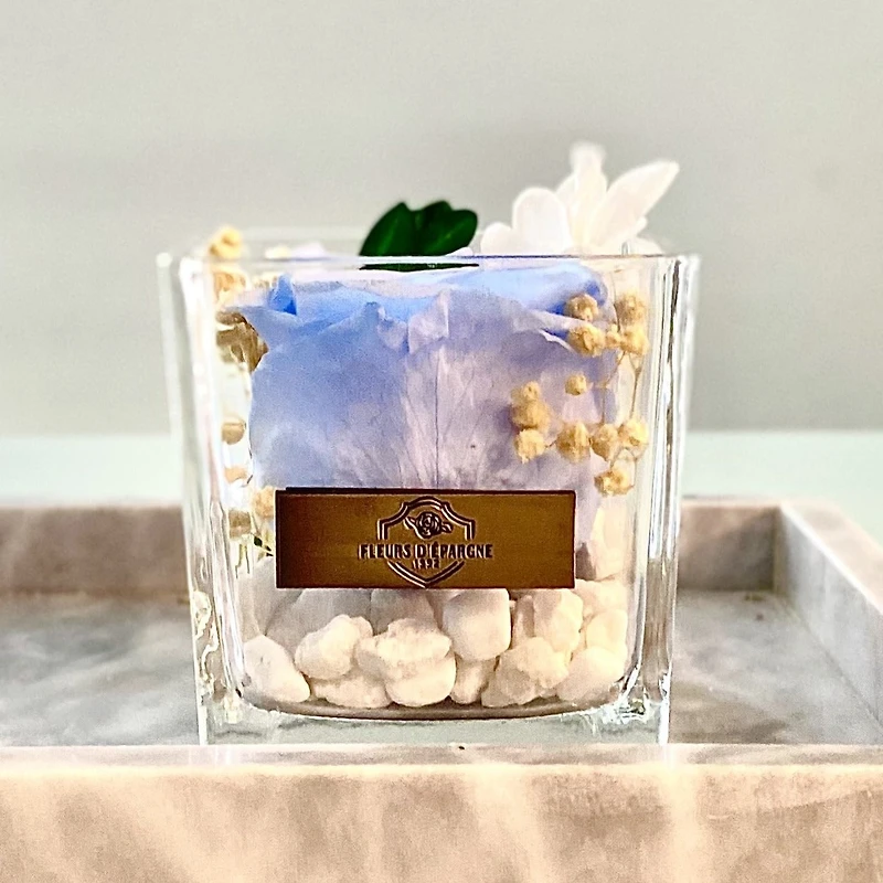 One Love in Square Glass Vase