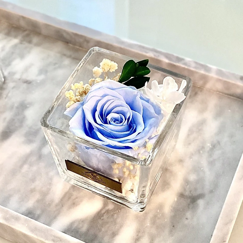 One Love in Square Glass Vase