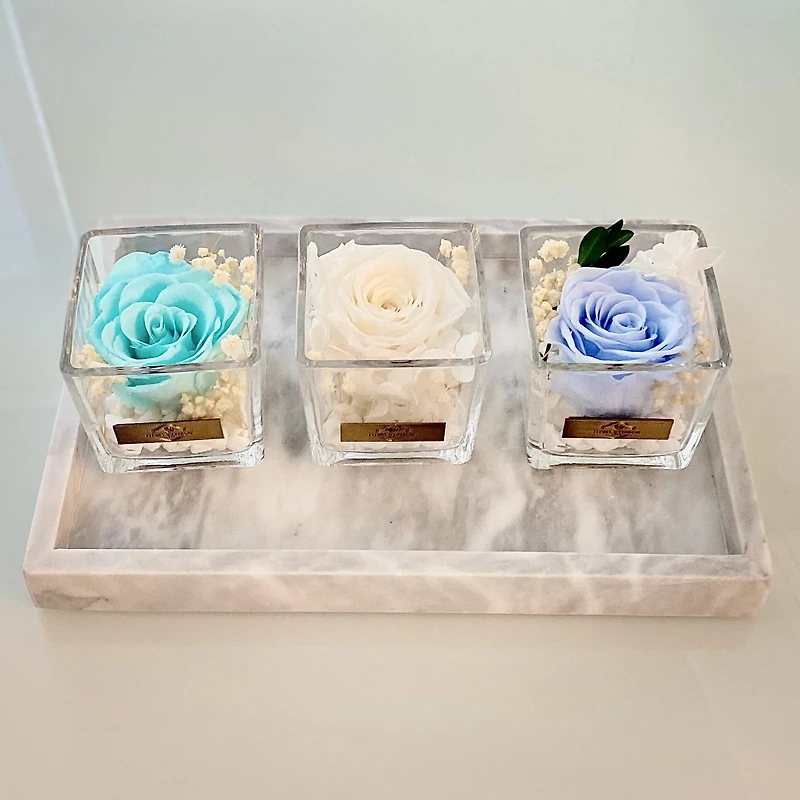 One Love in Square Glass Vase