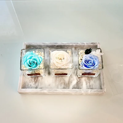 One Love in Square Glass Vase