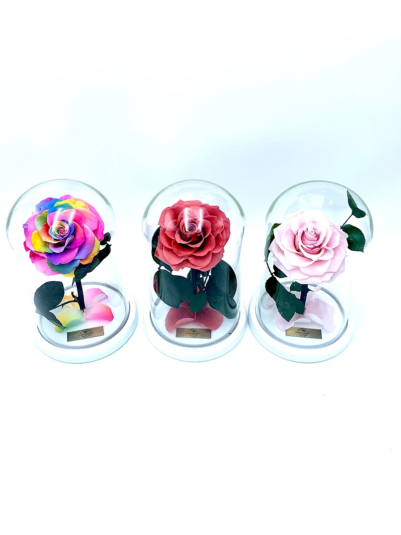 Medium Enchanted Glass Dome