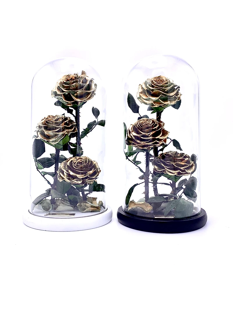 Eternity 3-in-1 Rose Enchanted Glass Dome