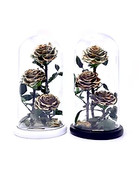 Eternity 3-in-1 Rose Enchanted Glass Dome