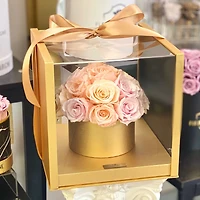 Rose Dome Case Box