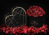 Prestige Rose Bucket
