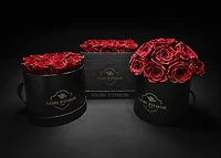 Elegance Classic Rose Bucket