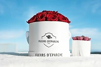 Romance Red Classic Rose Bucket