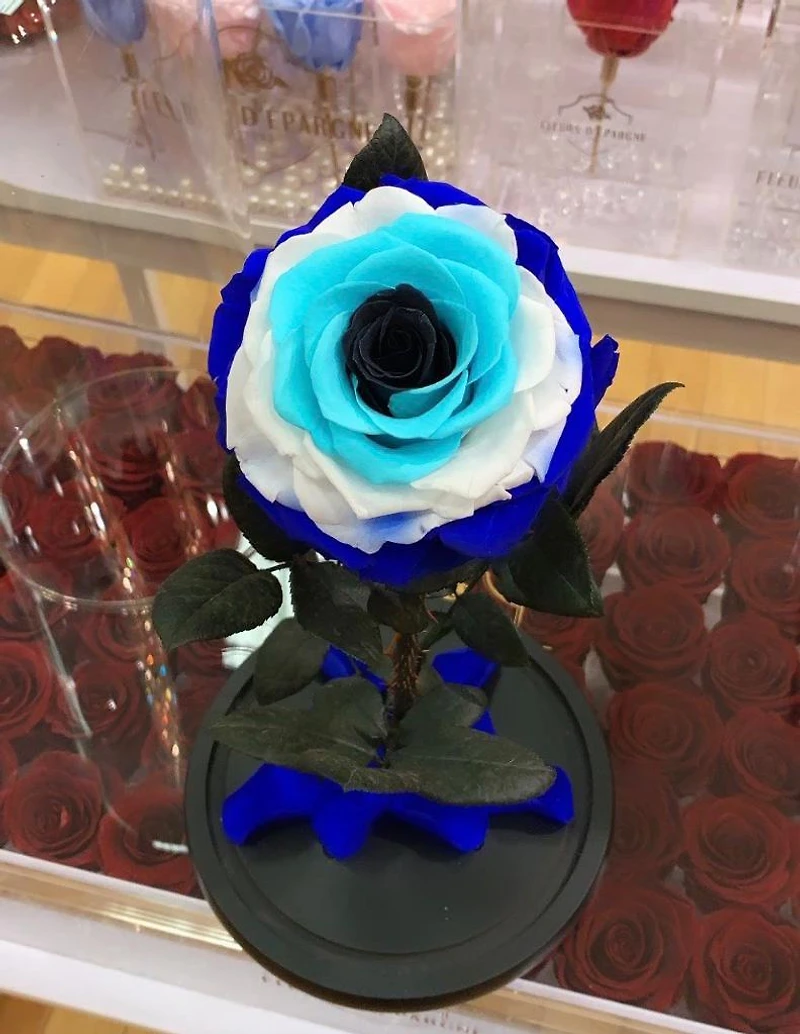 Eternity Rose Enchanted Glass Dome