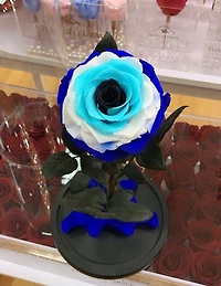 Eternity Rose Enchanted Glass Dome