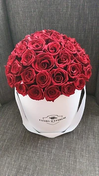 Red Velvet Romance Dome Classic Rose Bucket