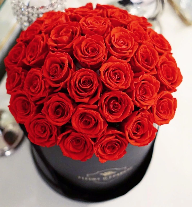 Red Velvet Romance Dome Classic Rose Bucket
