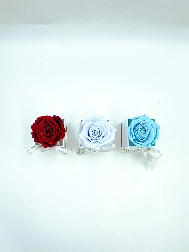 One Love Acrylic Box