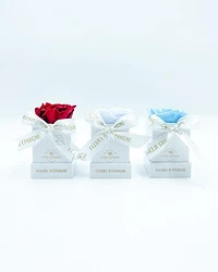 One Love Acrylic Box