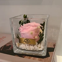 Organic Themed Single Preserved Rose