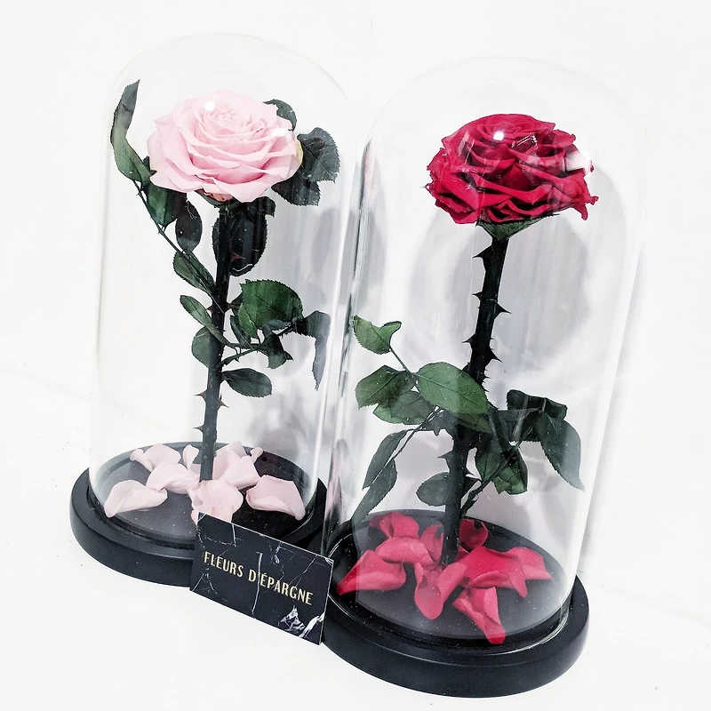 Eternity Rose Enchanted Glass Dome