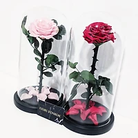 Eternity Rose Enchanted Glass Dome