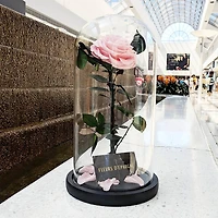 Eternity Rose Enchanted Glass Dome