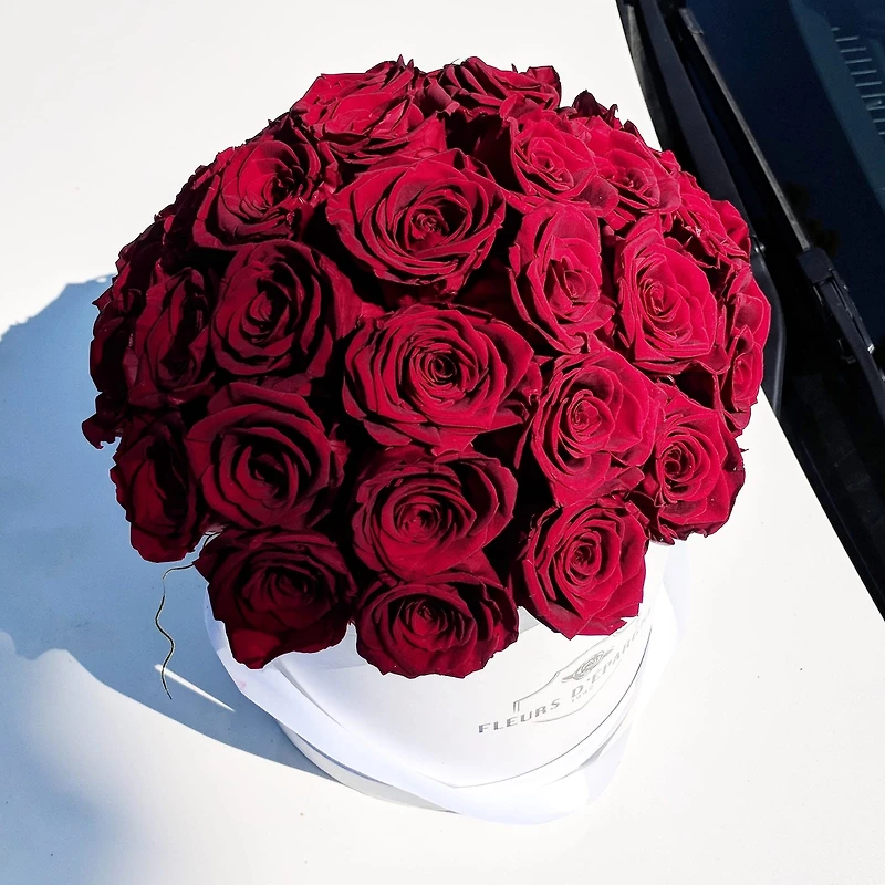 Red Velvet Romance Dome Classic Rose Bucket