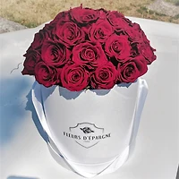 Red Velvet Romance Dome Classic Rose Bucket