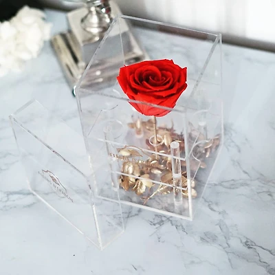 Endless Love Purest Crystal Box