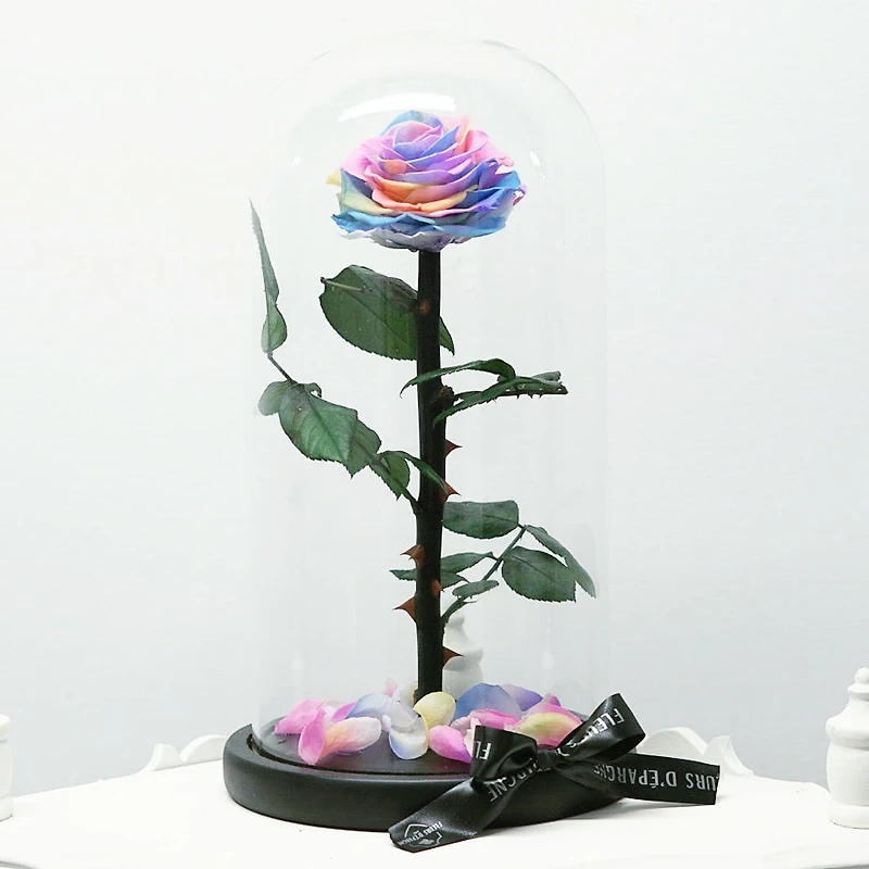 Eternity Rose Enchanted Glass Dome