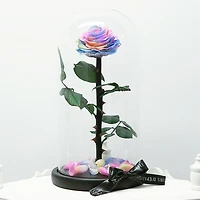 Eternity Rose Enchanted Glass Dome