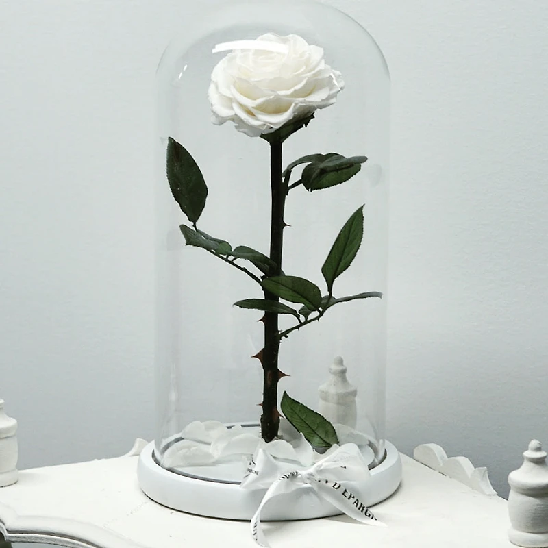 Eternity Rose Enchanted Glass Dome