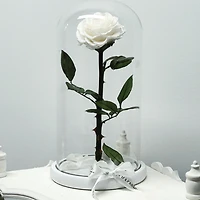 Eternity Rose Enchanted Glass Dome