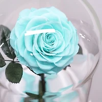 Eternity Rose Enchanted Glass Dome