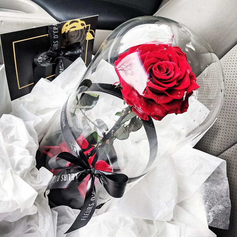 Eternity Rose Enchanted Glass Dome