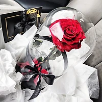 Eternity Rose Enchanted Glass Dome