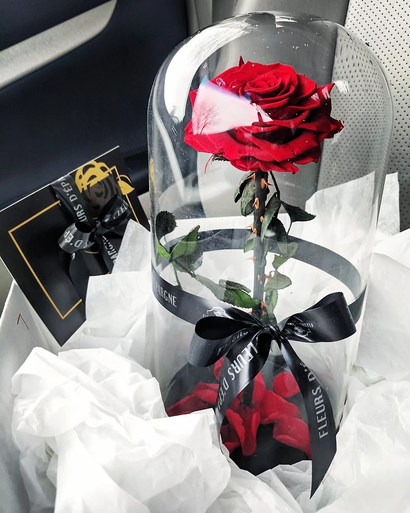 Eternity Rose Enchanted Glass Dome