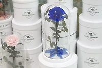 Eternity Rose Enchanted Glass Dome