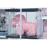 Original Rose Puppy