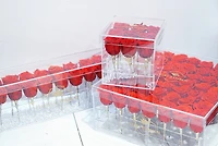 Everlasting Love Crystal Box