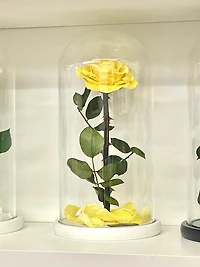 Eternity Rose Enchanted Glass Dome