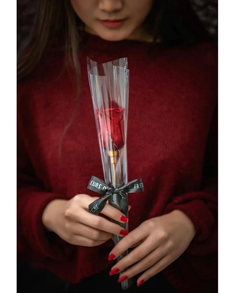 Eternity Single Rose Cone